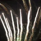 2-3 Tiger Tail Fireworks (Tiger Tail)